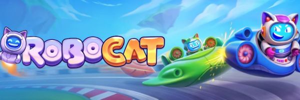 Robocat Casino program VIP 2026